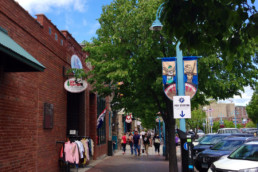 Duluth Shopping and Galleries