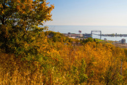 View near Enger Tower.